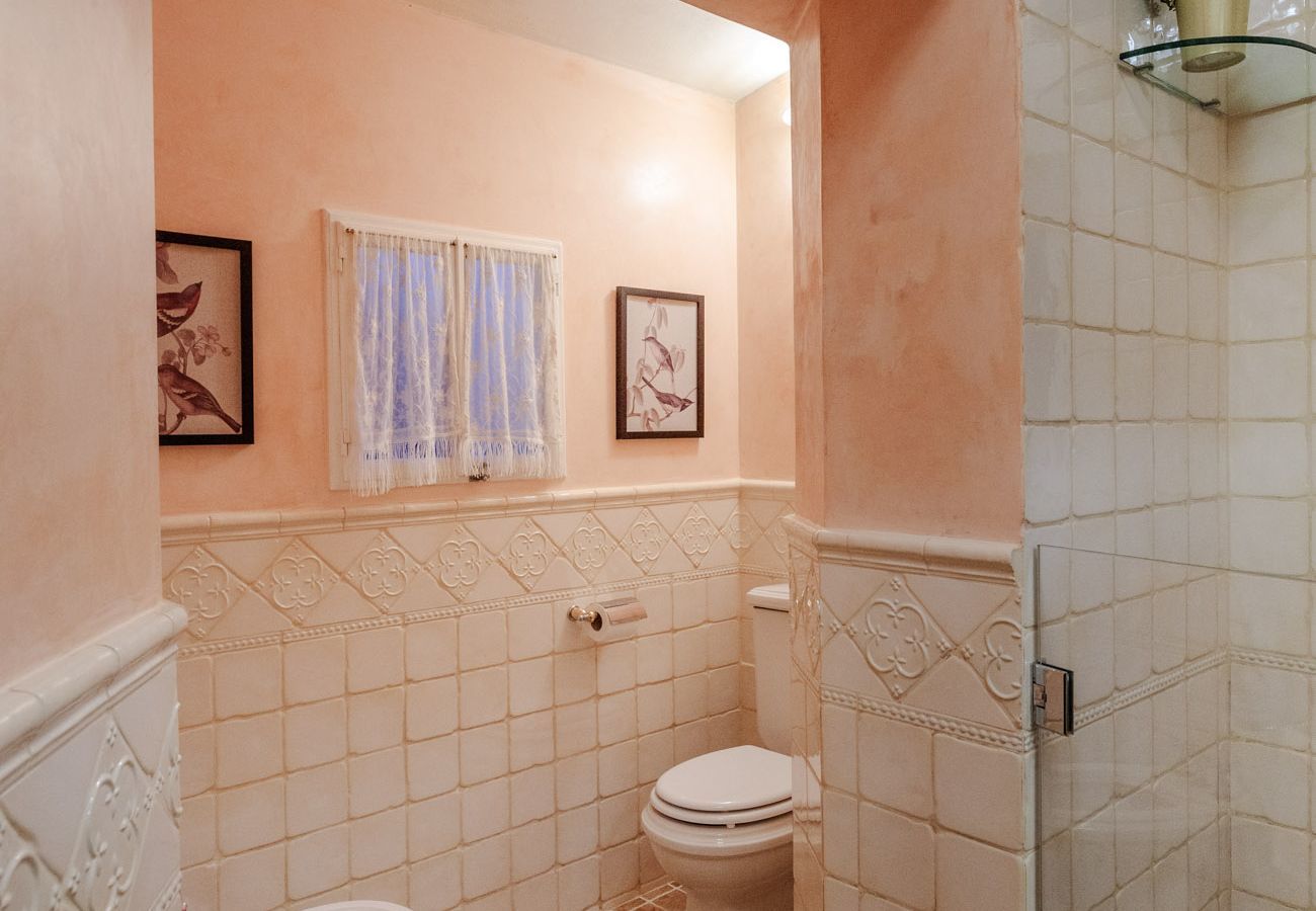 Apartment in Lucca - Casa Kathy