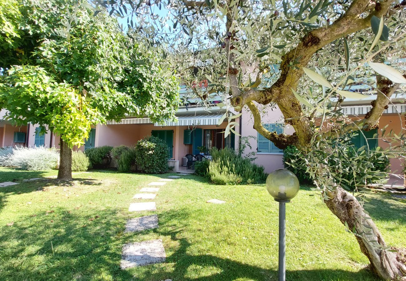 Apartment in Lazise - ORTENSIA