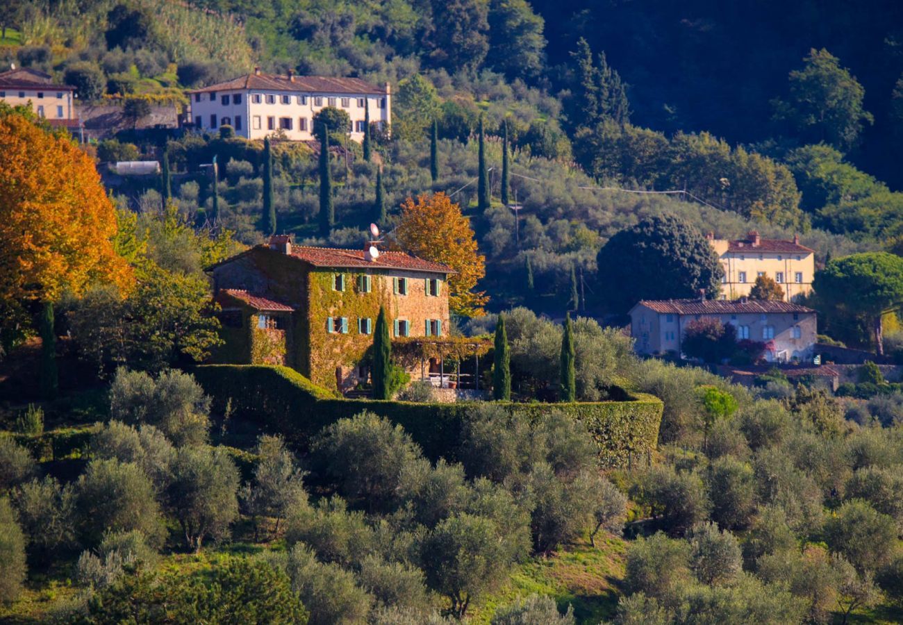 Villa in Matraia - Villa SunKiss: Traditional Stone Farmhouse Villa, Private Pool, Panorama and a Lot of Character in Lucca