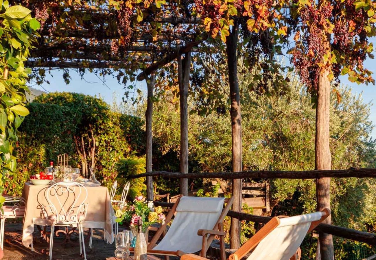 Villa in Matraia - Villa SunKiss: Traditional Stone Farmhouse Villa, Private Pool, Panorama and a Lot of Character in Lucca