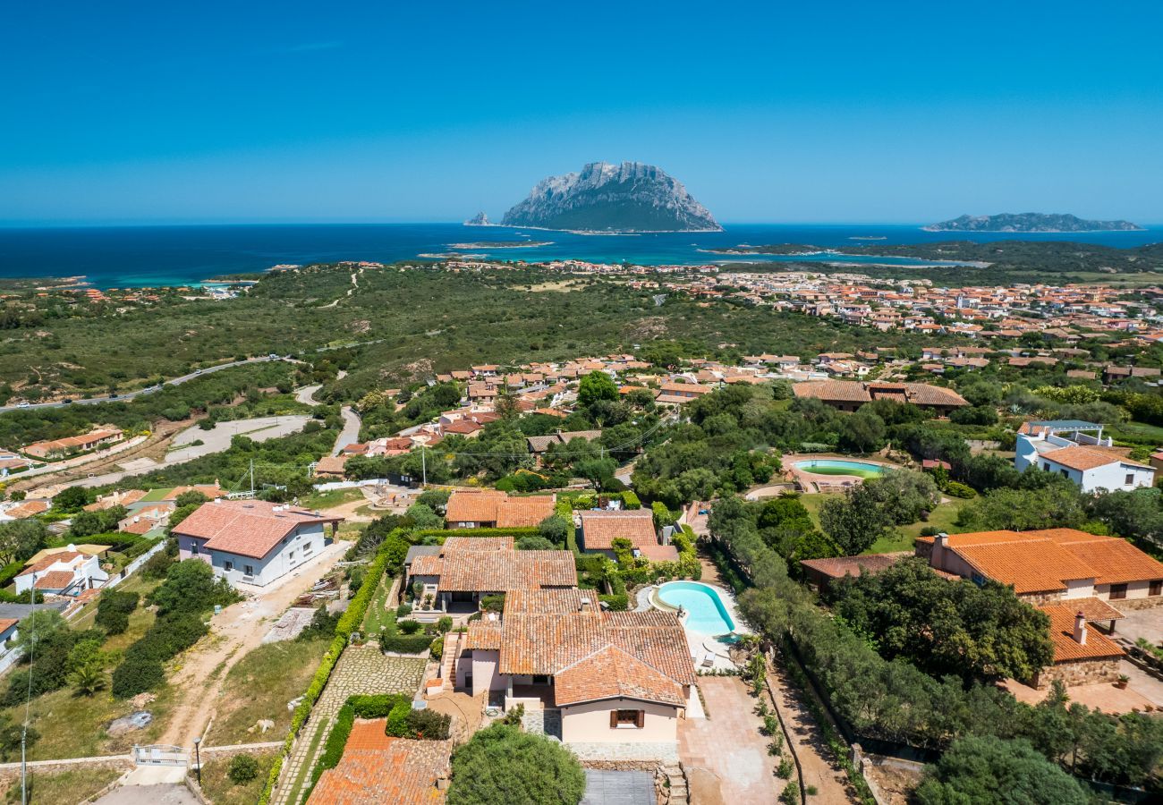 Villa in Porto San Paolo - Villa Kiki - infinity pool overlooking Tavolara