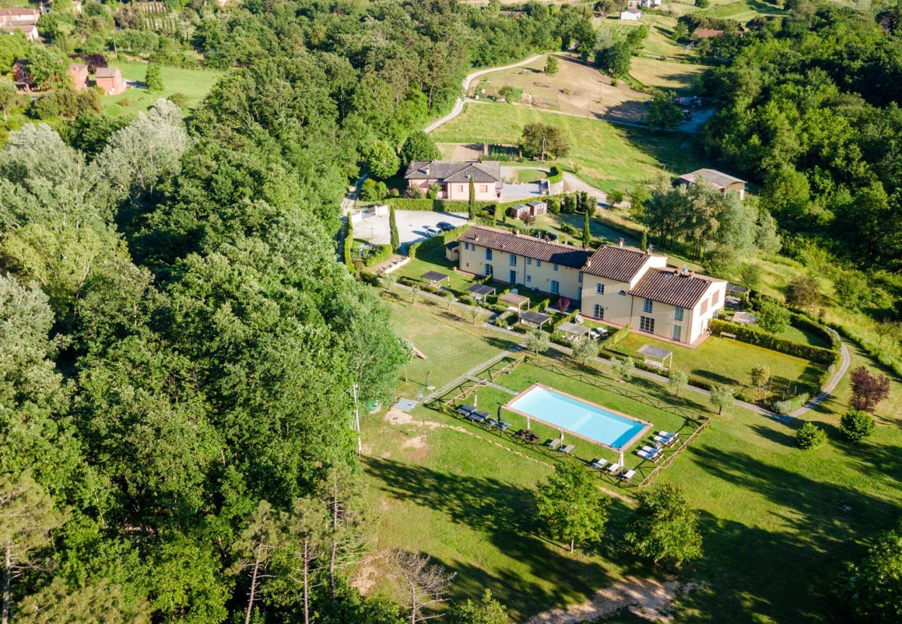 Villa in Lucca - Villa Hilary