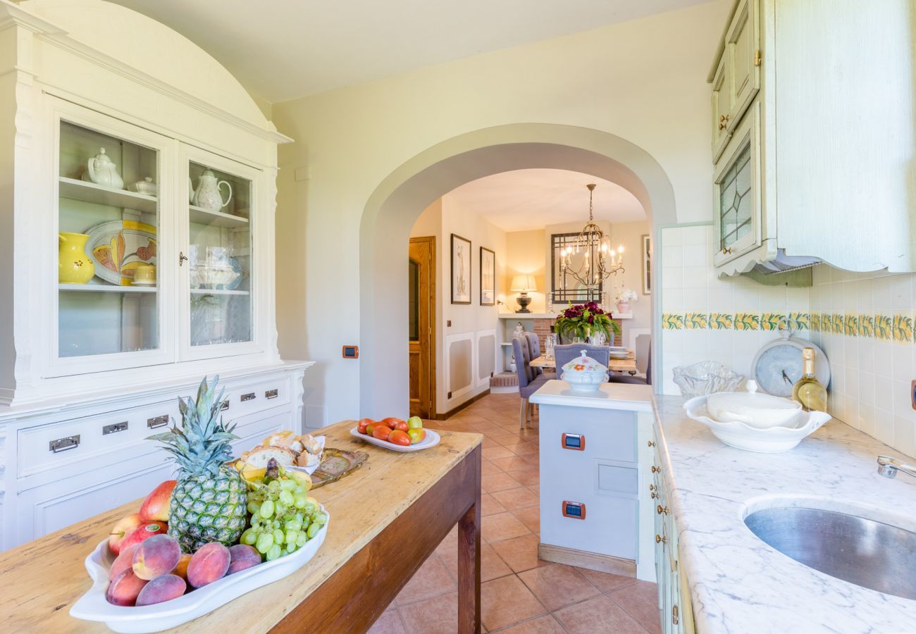 Villa in Lucca - Nonna Bianca Farmhouse