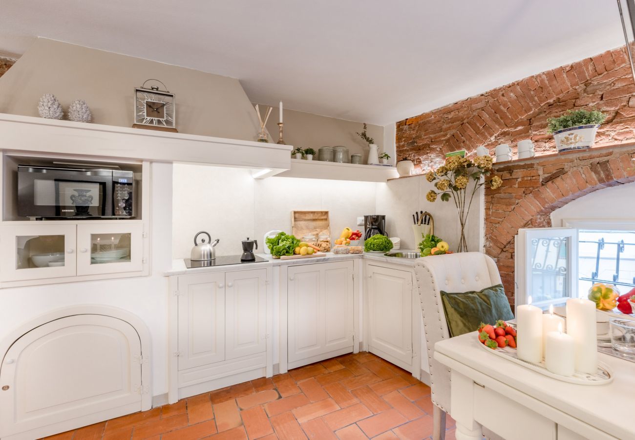 Apartment in Lucca - Casa Colosseum