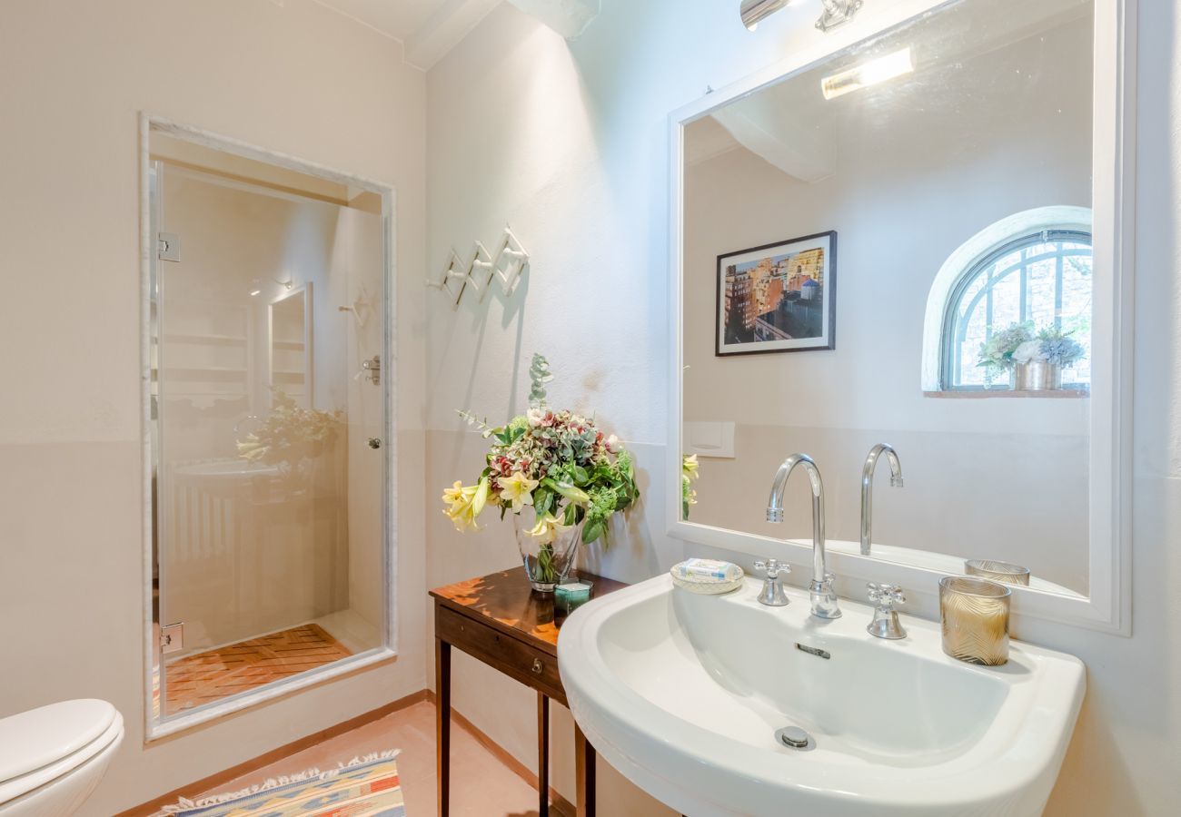 Villa in Camaiore - Luxury Farmhouse Retreat between Lucca and the Beach