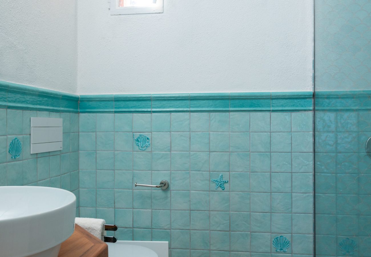 Villa in San Pantaleo - Villa Linda - typical stazzo with hydromassage and panoramic view