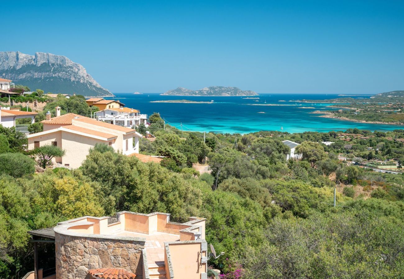 Villa in Olbia - Villa Majra