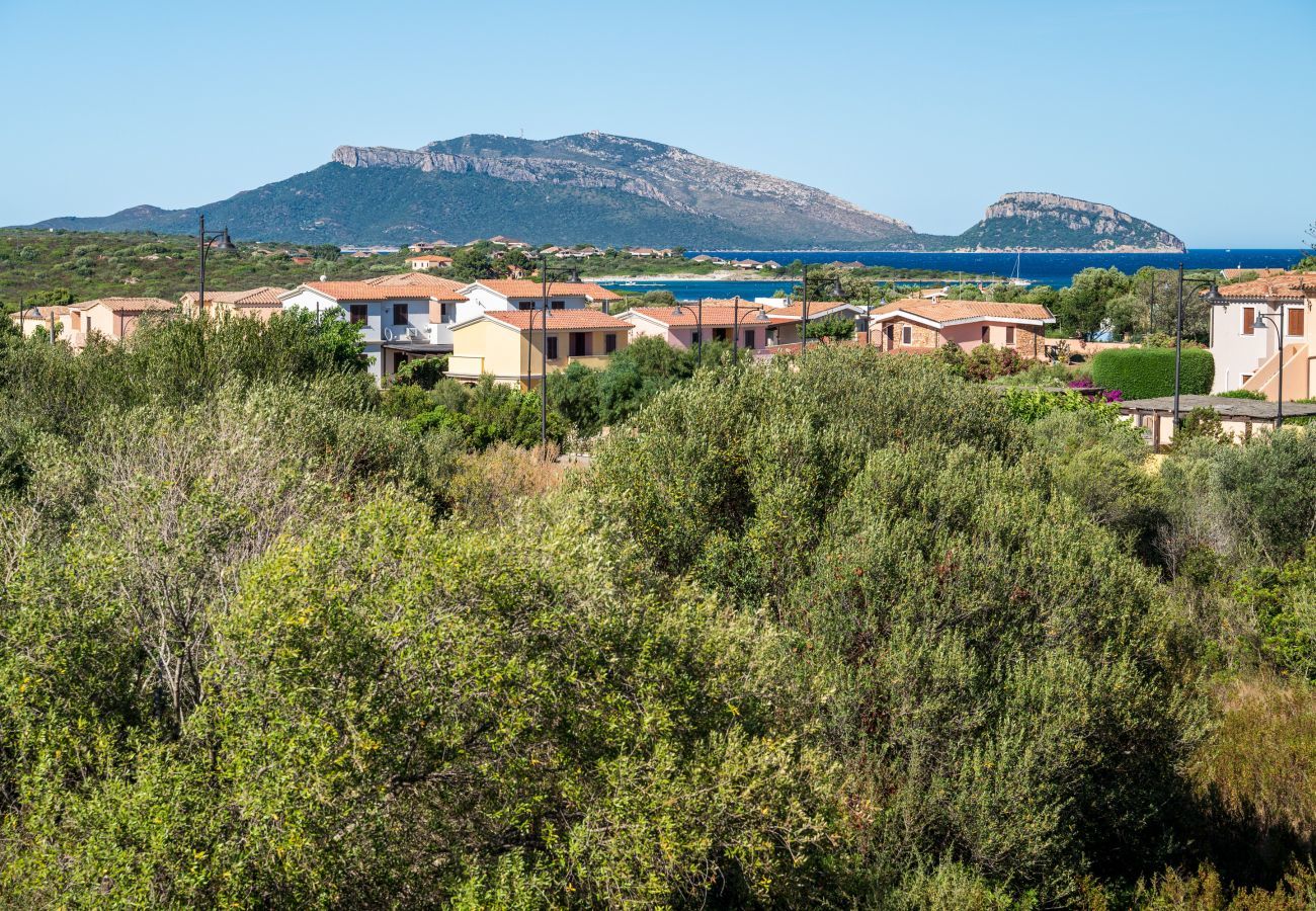 Apartment in Olbia - Rovo Flat 7 - seaview apartment 600 meters from Bados beach