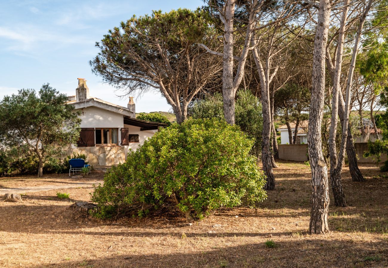 Villa Bay Pine - garden with beach access in rental villa in Olbia