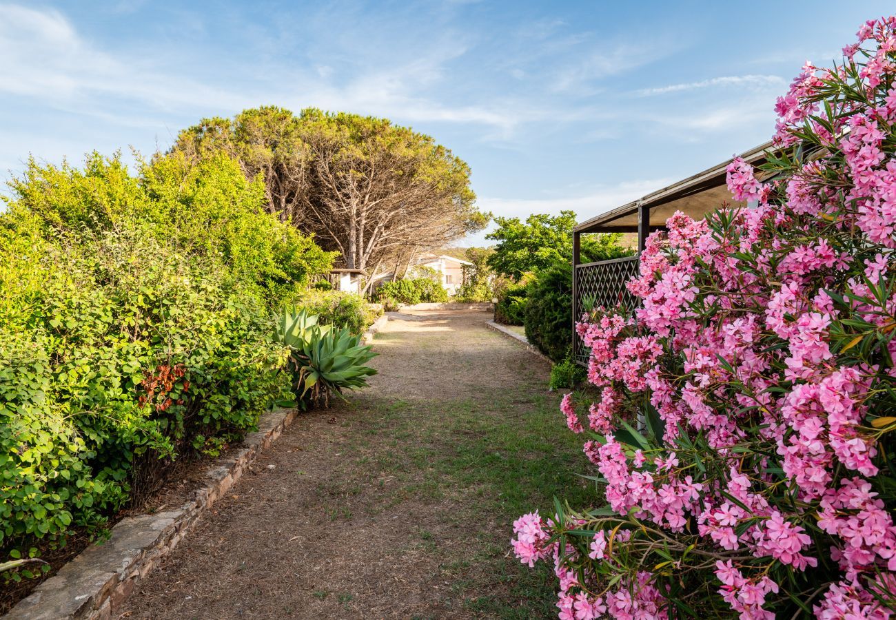 Villa in Olbia - Villa Bay Pine