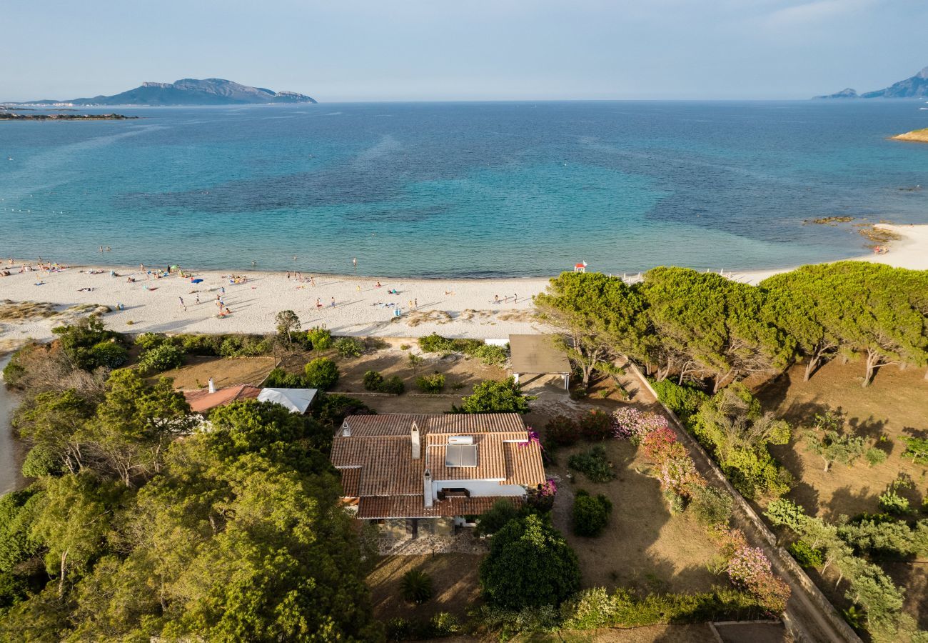 Villa in Olbia - Villa Bay Pine - direct access to Pittulongu beach, wi-fi
