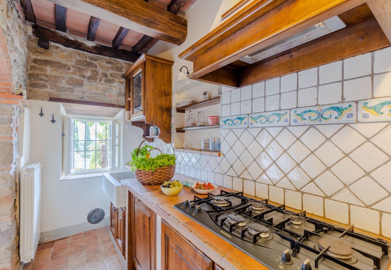 Villa in Lucca - Tuscan Fizz, a traditional Stone Farmhouse with Private Pool and Amazing View among the Vineyards in Lucca