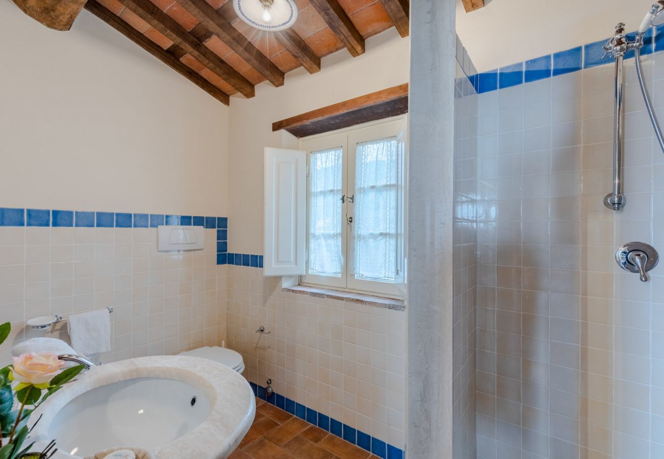 Villa in Lucca - Tuscan Fizz Villa, a Vineyards Retreat