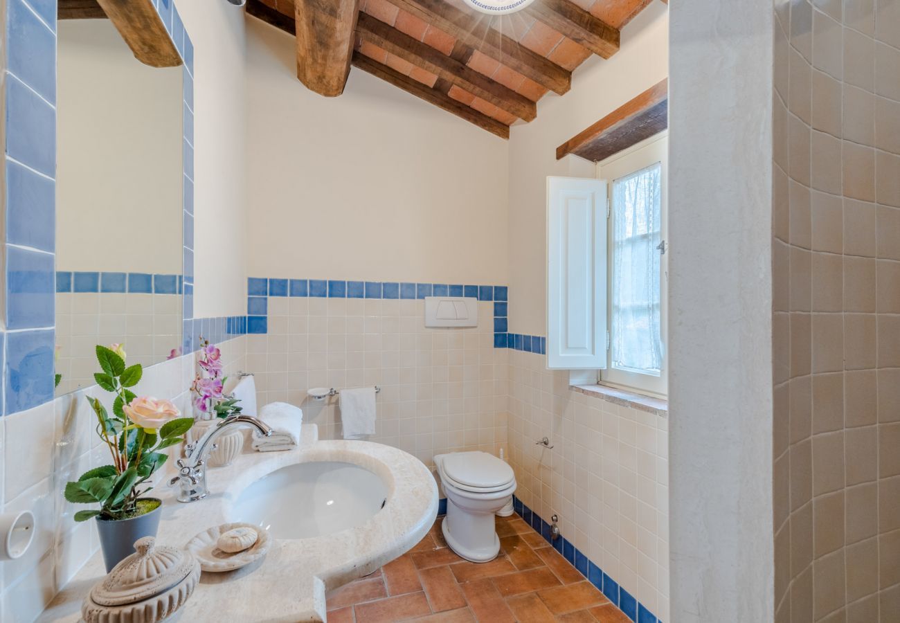 Villa in Lucca - Tuscan Fizz, a traditional Stone Farmhouse with Private Pool and Amazing View among the Vineyards in Lucca