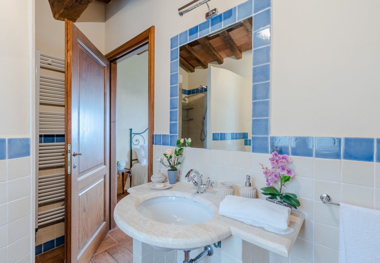 Villa in Lucca - Tuscan Fizz, a traditional Stone Farmhouse with Private Pool and Amazing View among the Vineyards in Lucca