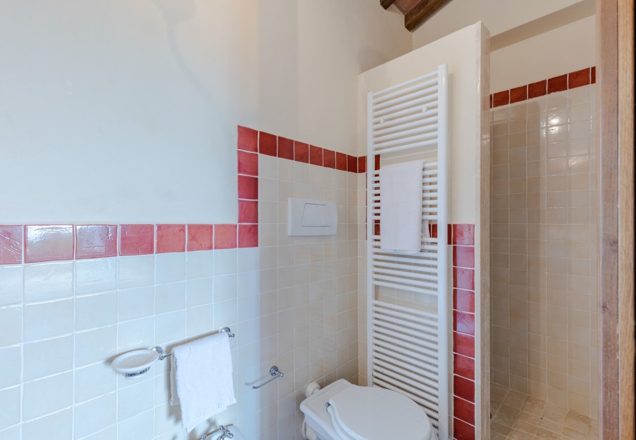Villa in Lucca - Tuscan Fizz Villa, a Vineyards Retreat