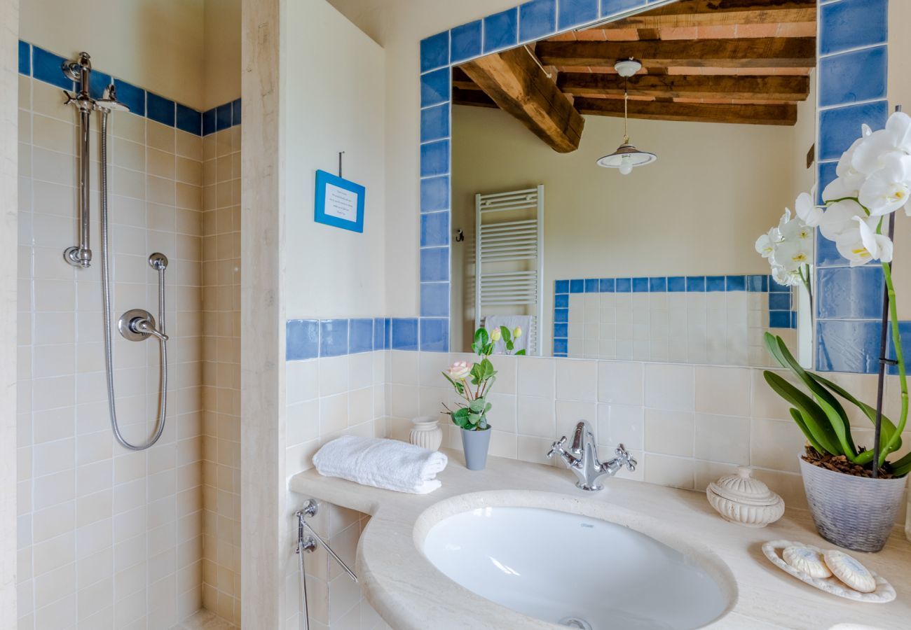 Villa in Lucca - Tuscan Fizz Villa, a Vineyards Retreat