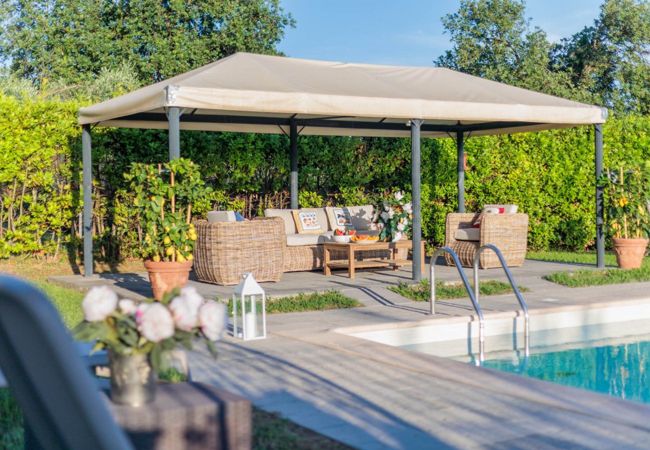Villa in Lucca - Tuscan Fizz Villa, a Vineyards Retreat