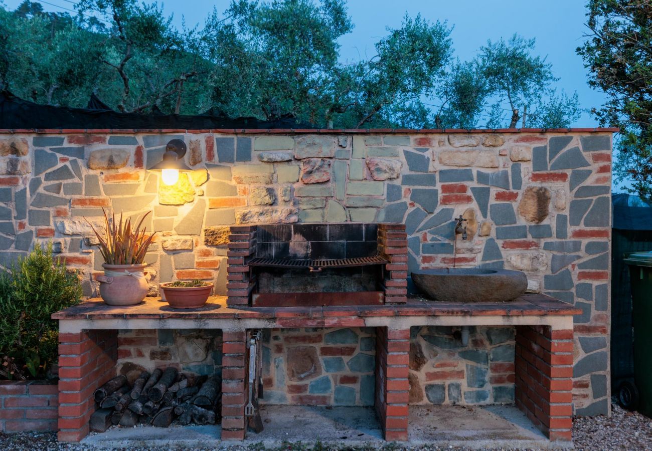 Villa in Lucca - Tuscan Fizz Villa, a Vineyards Retreat