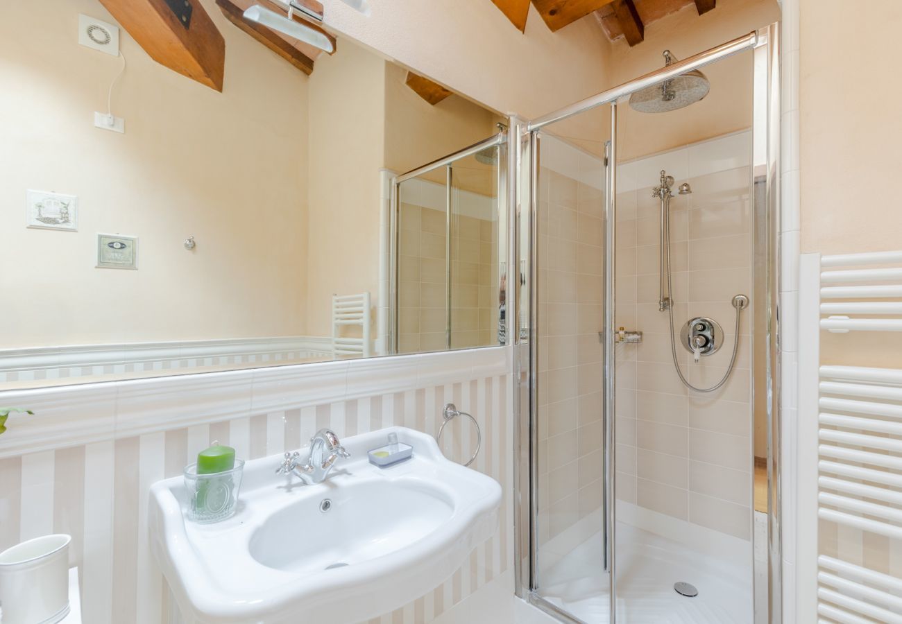 Villa in Pieve di Compito - Dimora delle Camelie