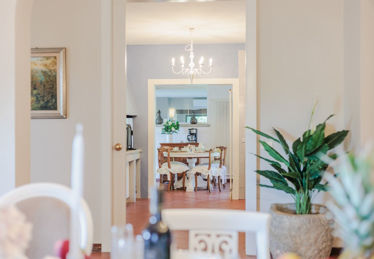 Villa in Bientina - Cà Uvenere, Modern Farmhouse with Pool