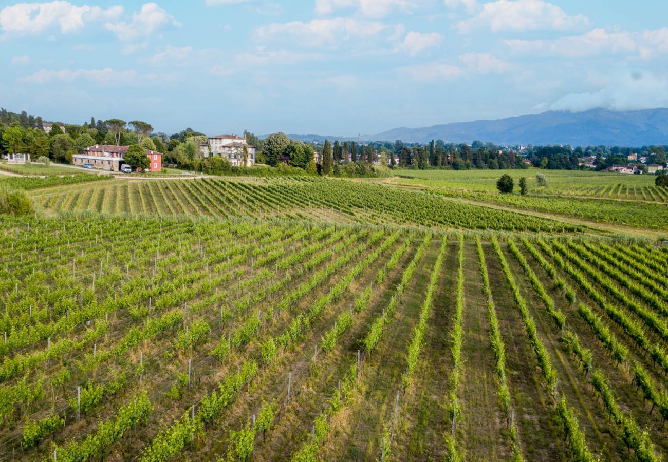 Villa in Monte San quirico - 3 Bedrooms Farmhouse with Shared Pool in the Fattoria Sardi Wine Resort in Lucca