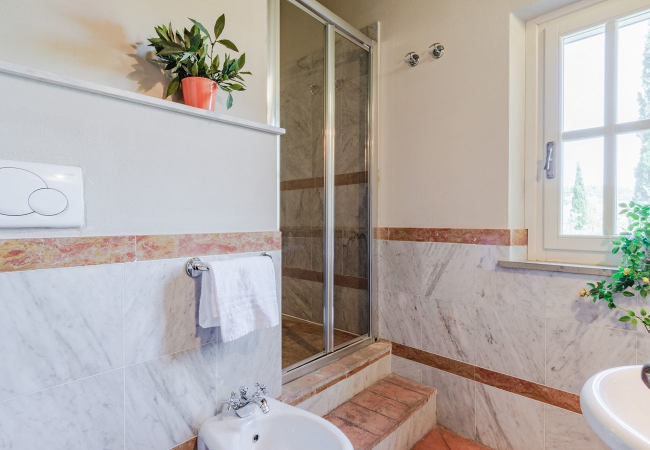 Apartment in Monte San quirico - Maria Farmhouse Apartment in Wine Resort in Lucca