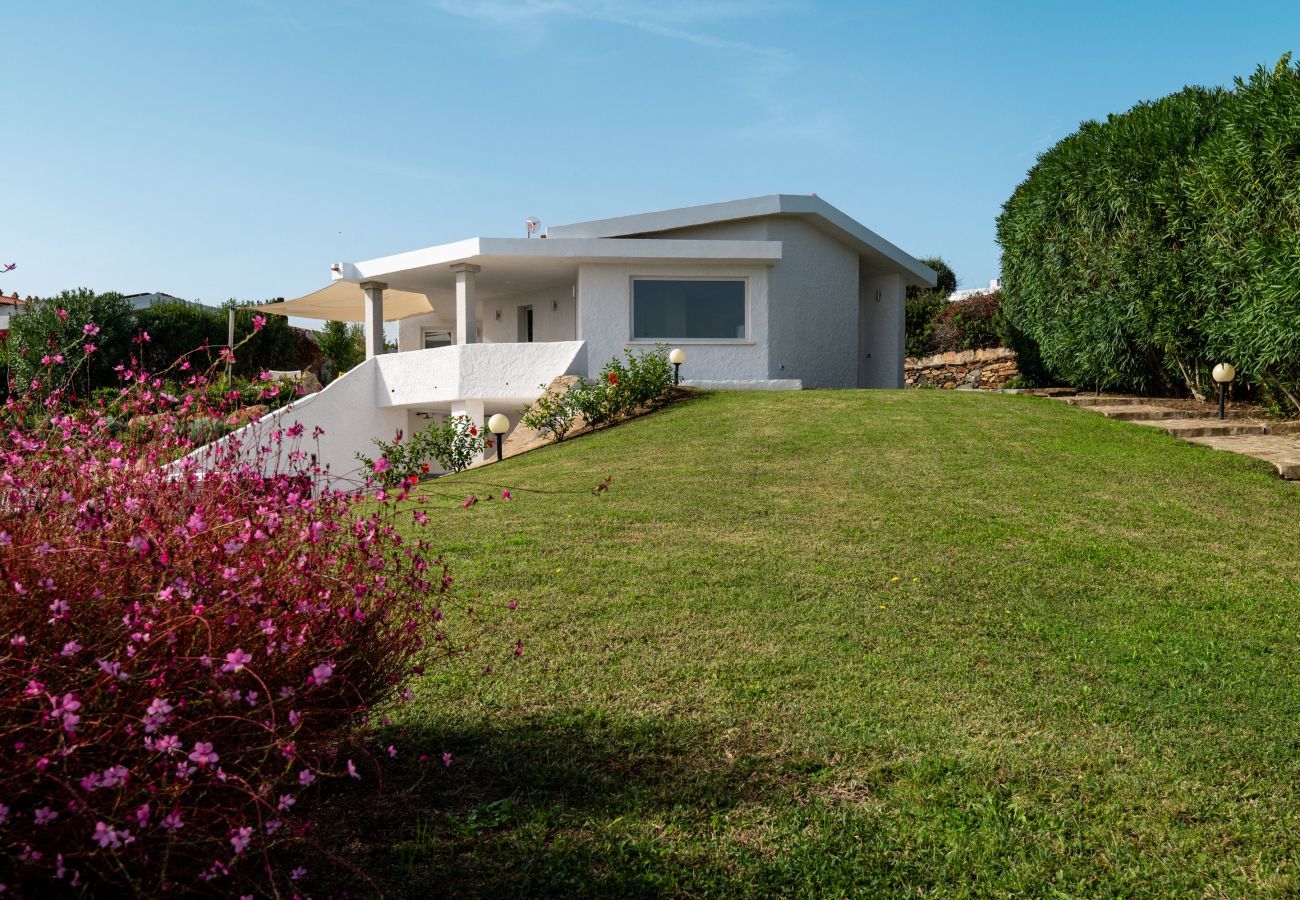 Villa in Olbia - Villa Azul - contemporary villa pied dans l'eau with hydromassage pool