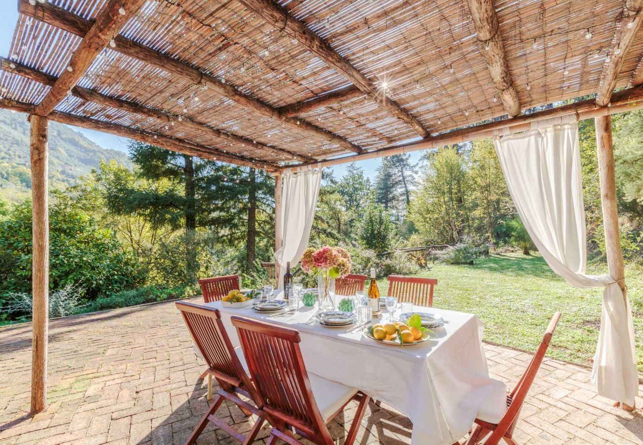 Villa in Camaiore - Villa Birdsong, among the Woods in Camaiore