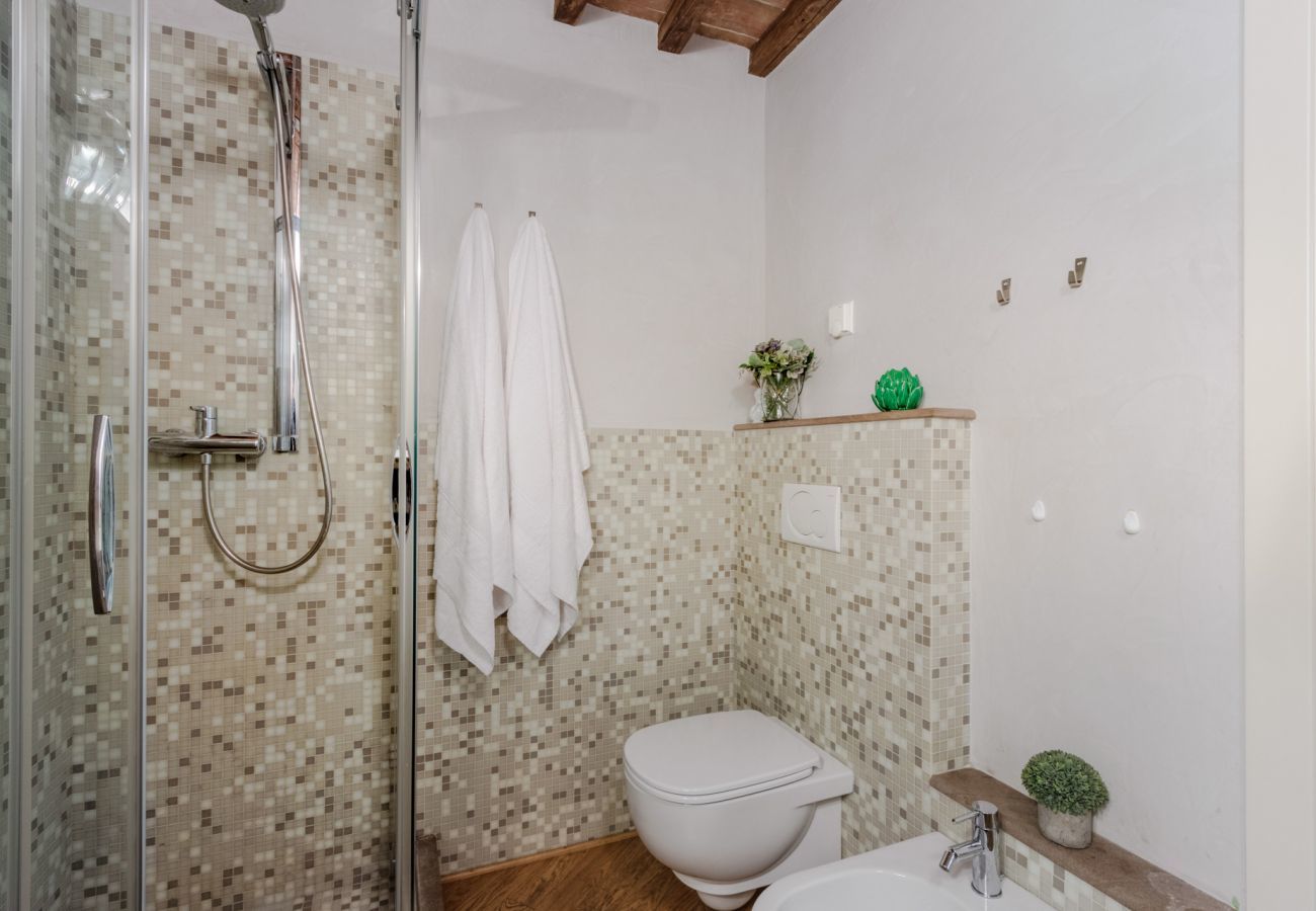 Apartment in Lucca - Casa Helene
