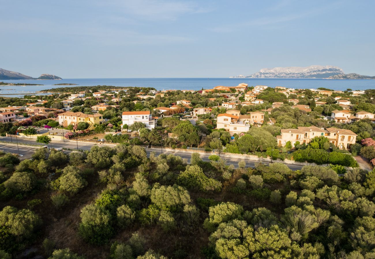 Apartment in Olbia - Blackberry 14 - Stay close to the beach apartment