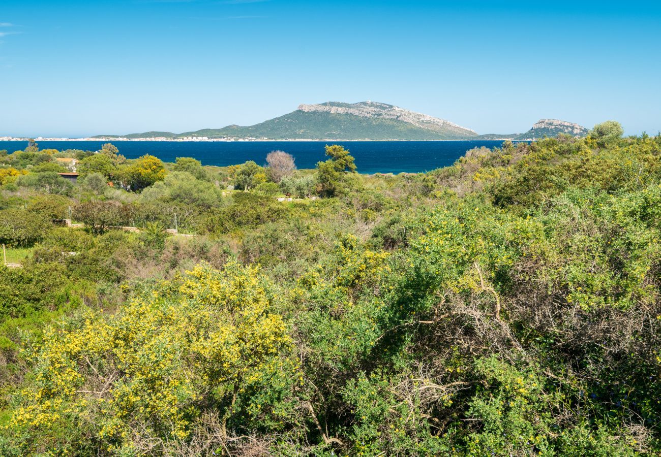 Villa in Golfo Aranci - Villa Picker - typical home facing Golfo Aranci view