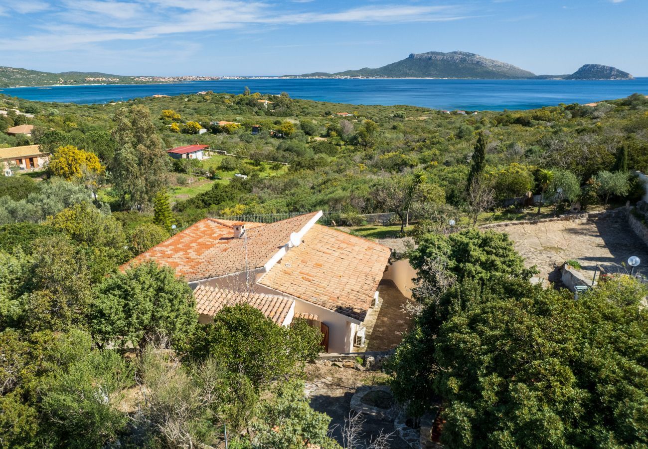 Villa in Golfo Aranci - Villa Picker - typical home facing Golfo Aranci view