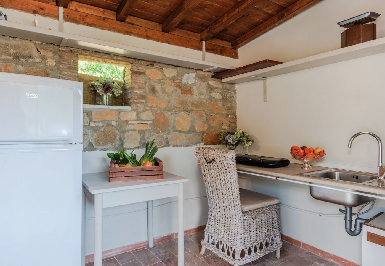 Villa in Ruota - Cottage Gigi, Smart Convenient Stone Village House with Pool