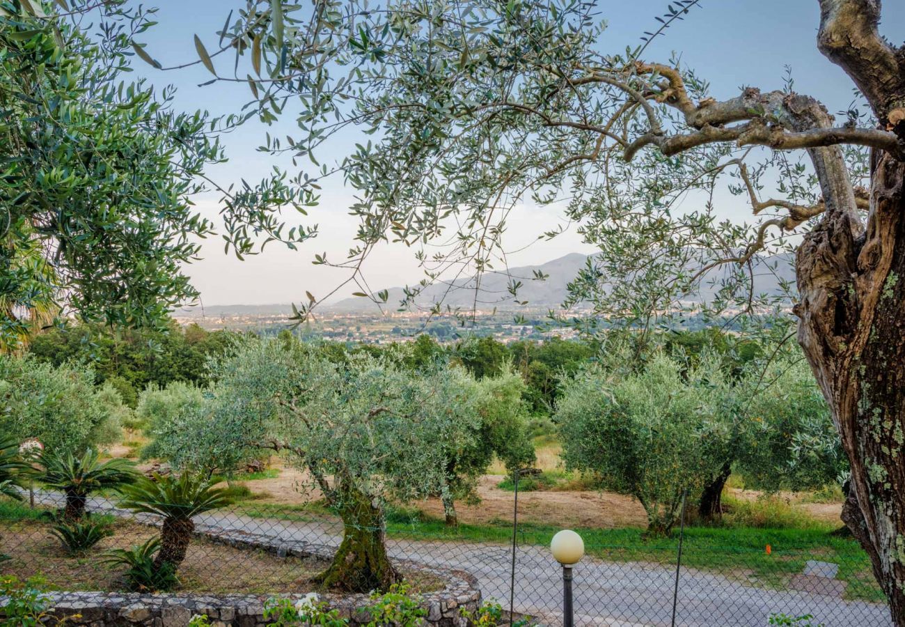 Villa in Lucca - Villa Gabry