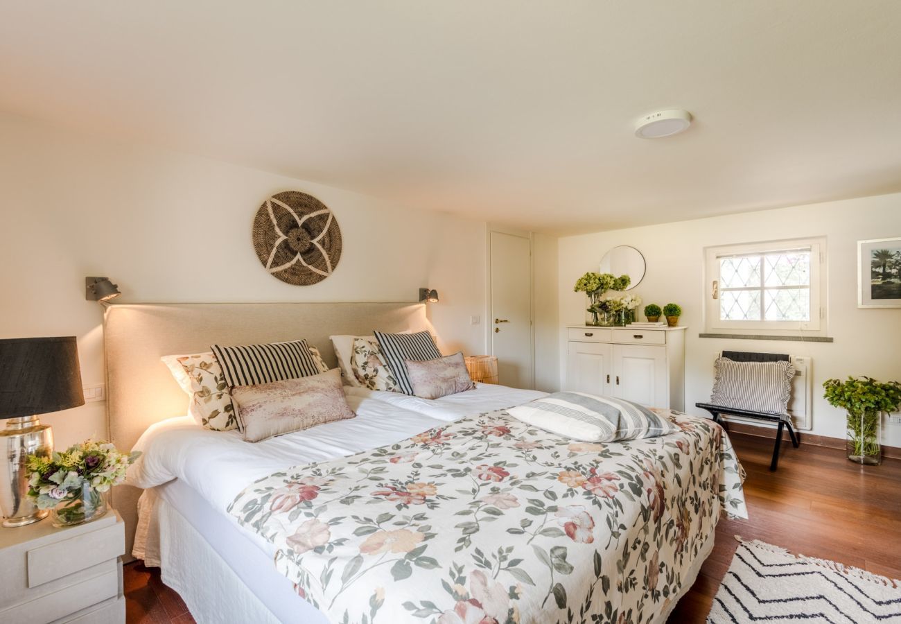 Villa in Pietrasanta - Villa Desiree