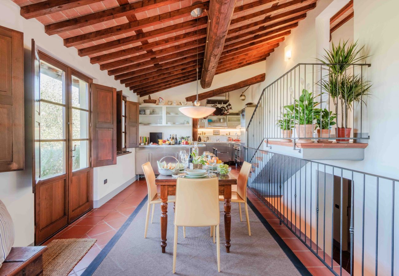 Villa in Lucca - Villa Debby