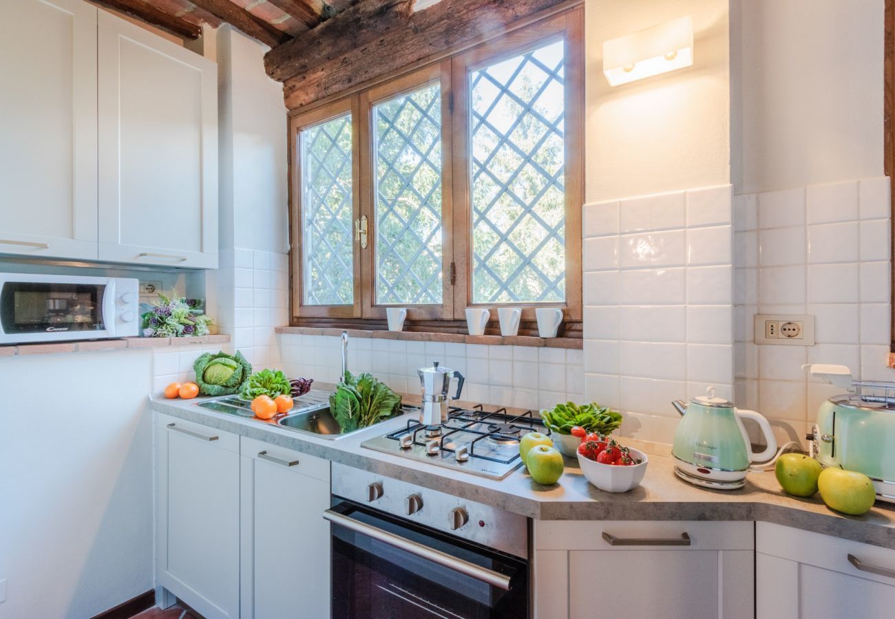 Apartment in Lucca - Casa Genny