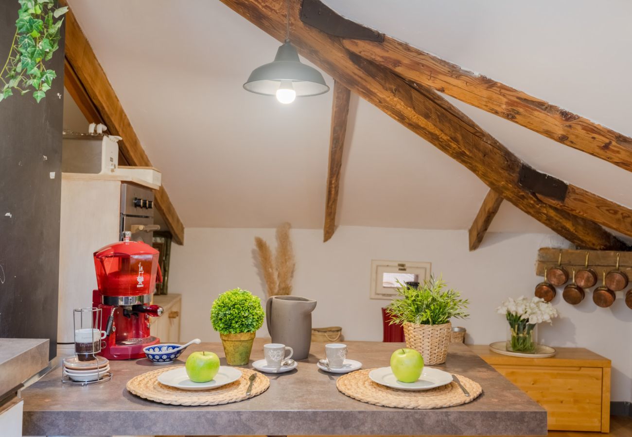 Apartment in Lucca - The Rooftop Penthouse
