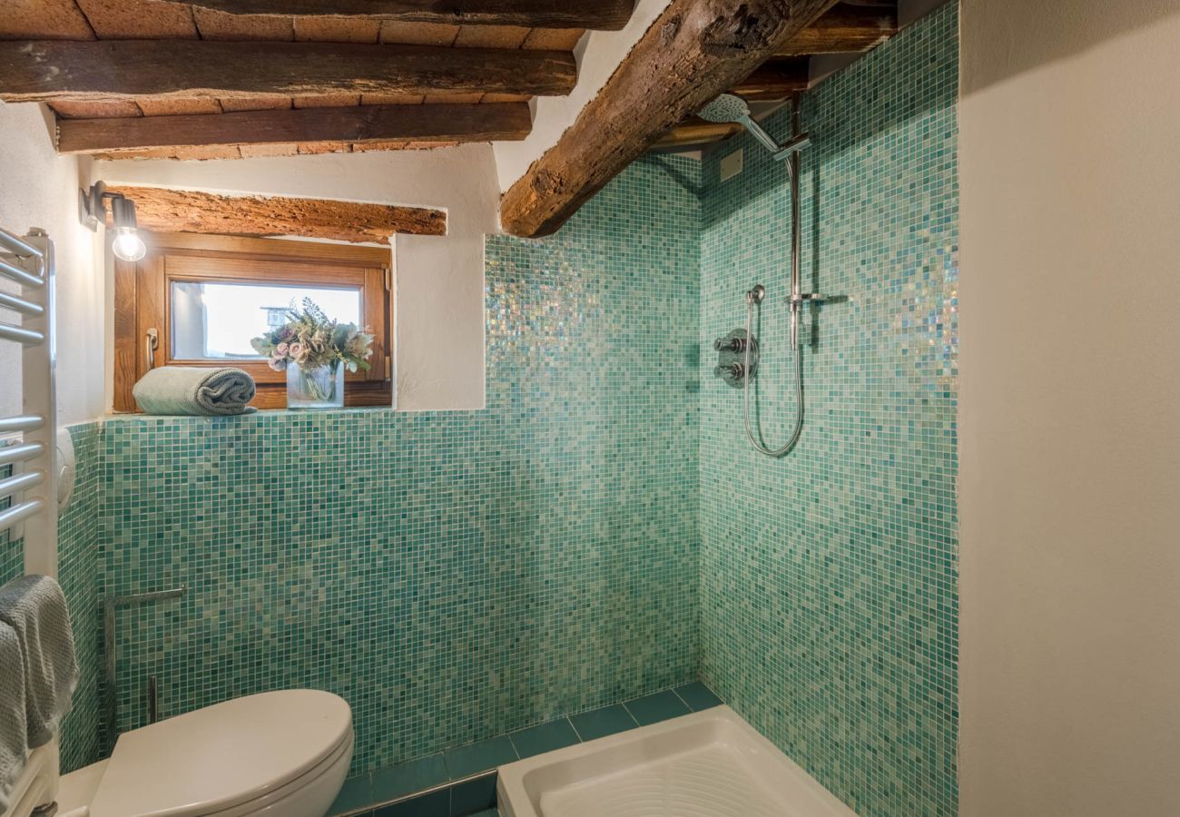 Apartment in Lucca - La Dorina Penthouse