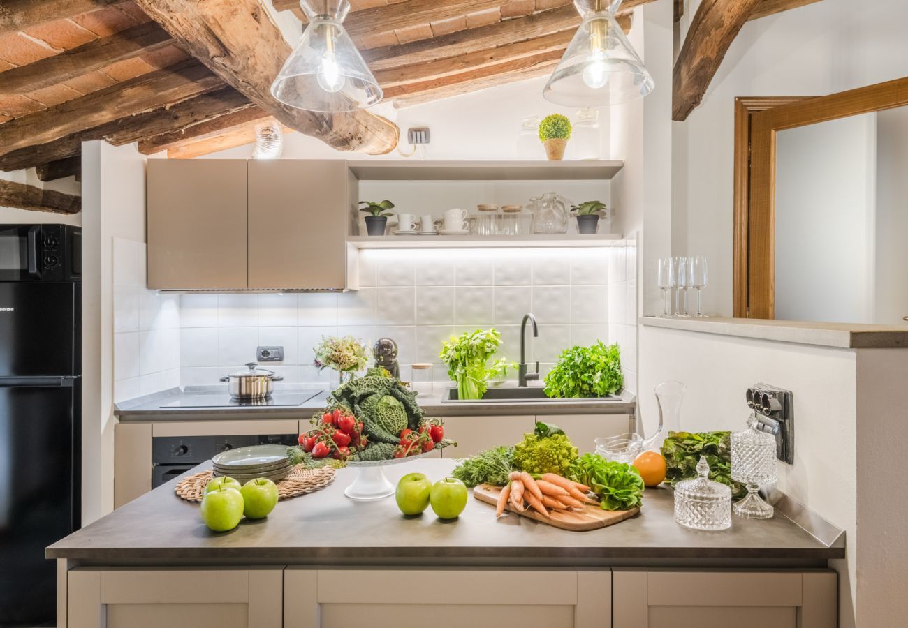 Apartment in Lucca - La Dorina Penthouse