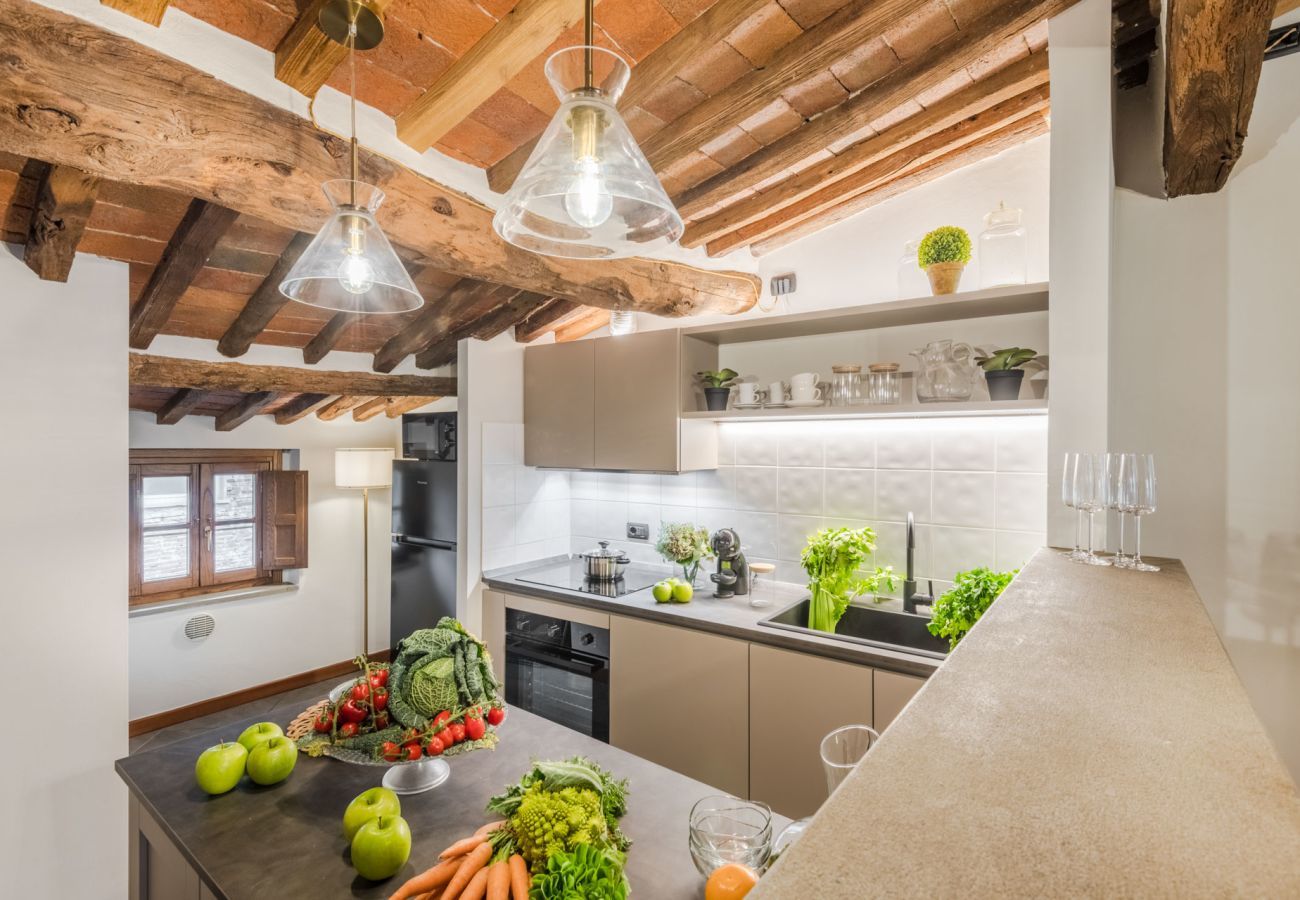 Apartment in Lucca - La Dorina Penthouse