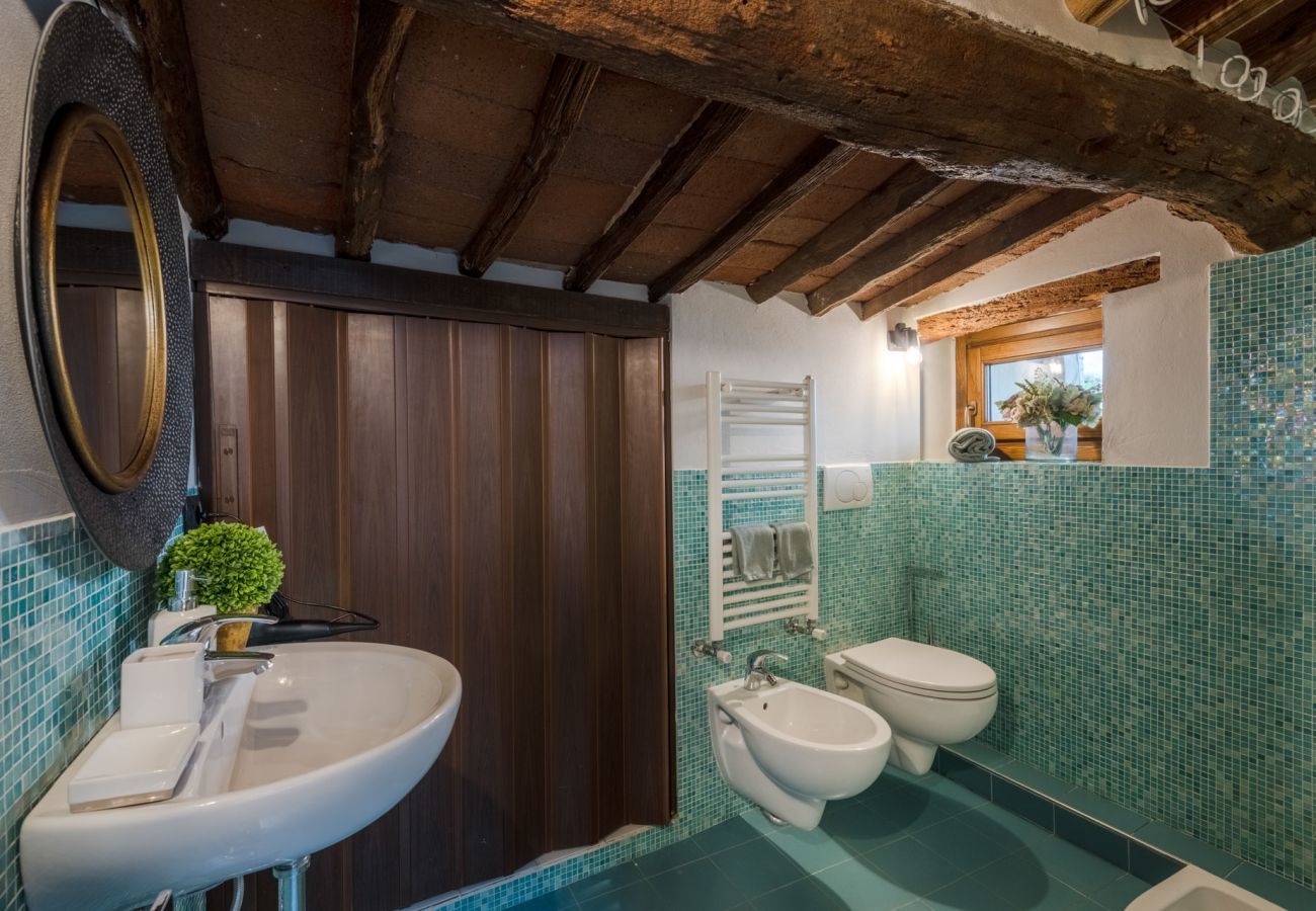 Apartment in Lucca - La Dorina Penthouse
