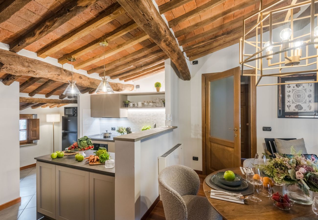 Apartment in Lucca - La Dorina Penthouse