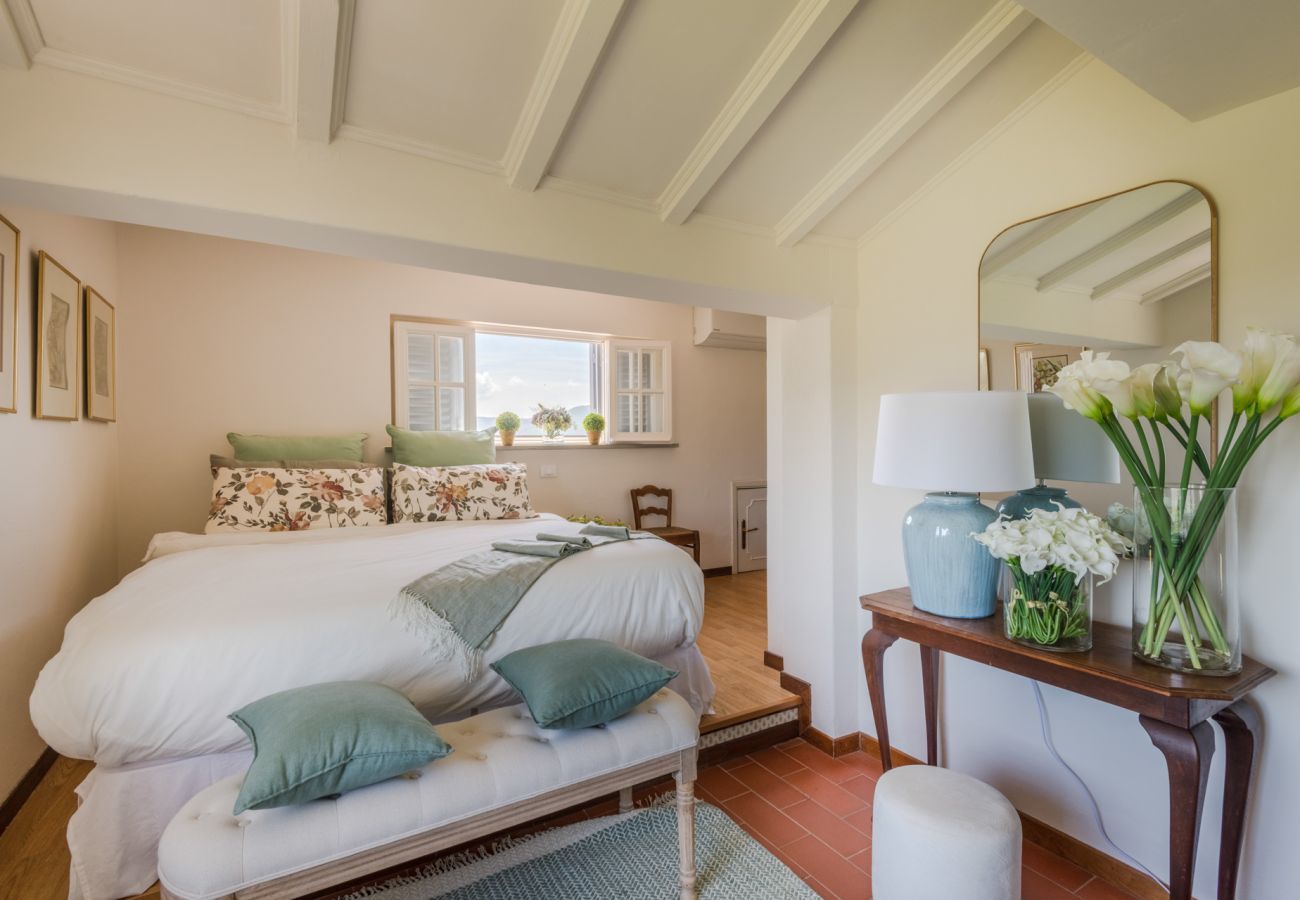 Villa in Lucca - Villa Lontana