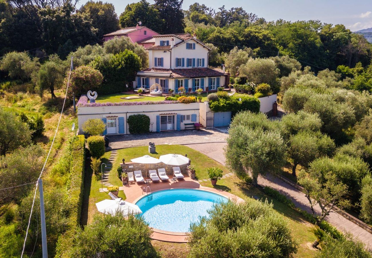 Villa in Lucca - Villa Lontana