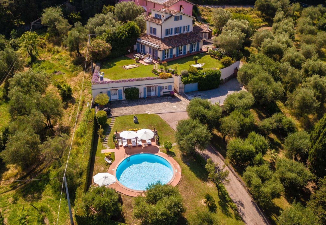 Villa in Lucca - Villa Lontana