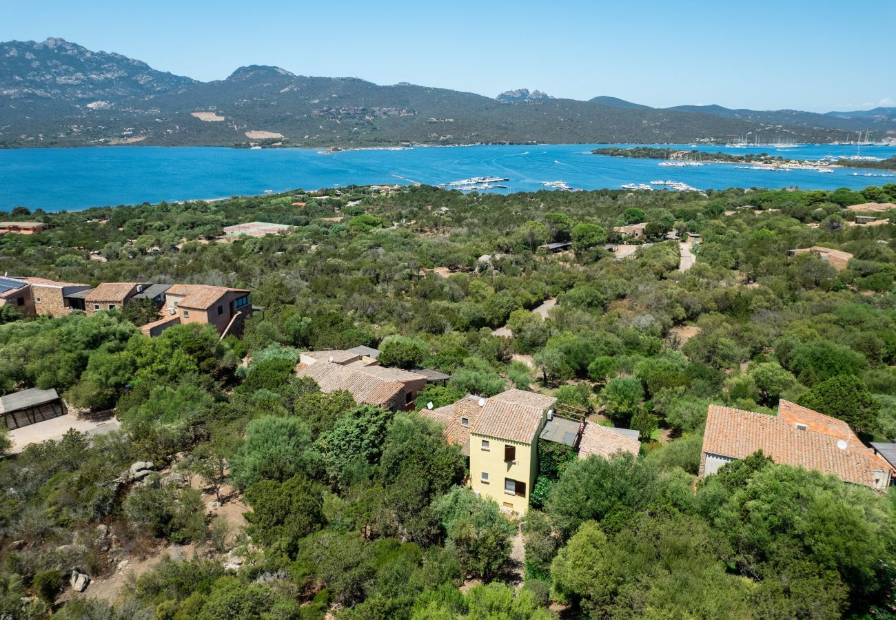 Apartment in Porto Rotondo - Caletta Nest 88