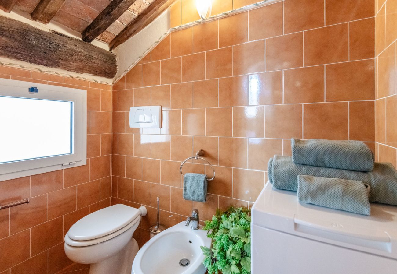 Apartment in Lucca - Antico Sogno Penthouse