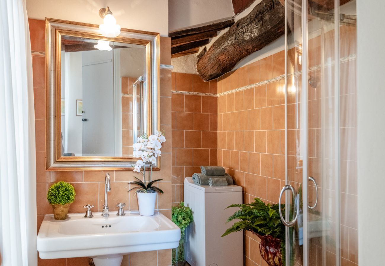 Apartment in Lucca - Antico Sogno Penthouse